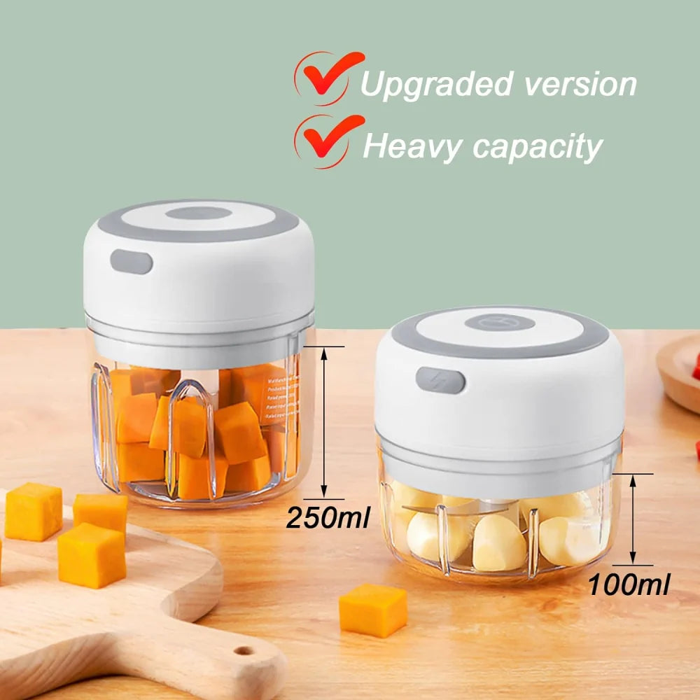 Mini food processor