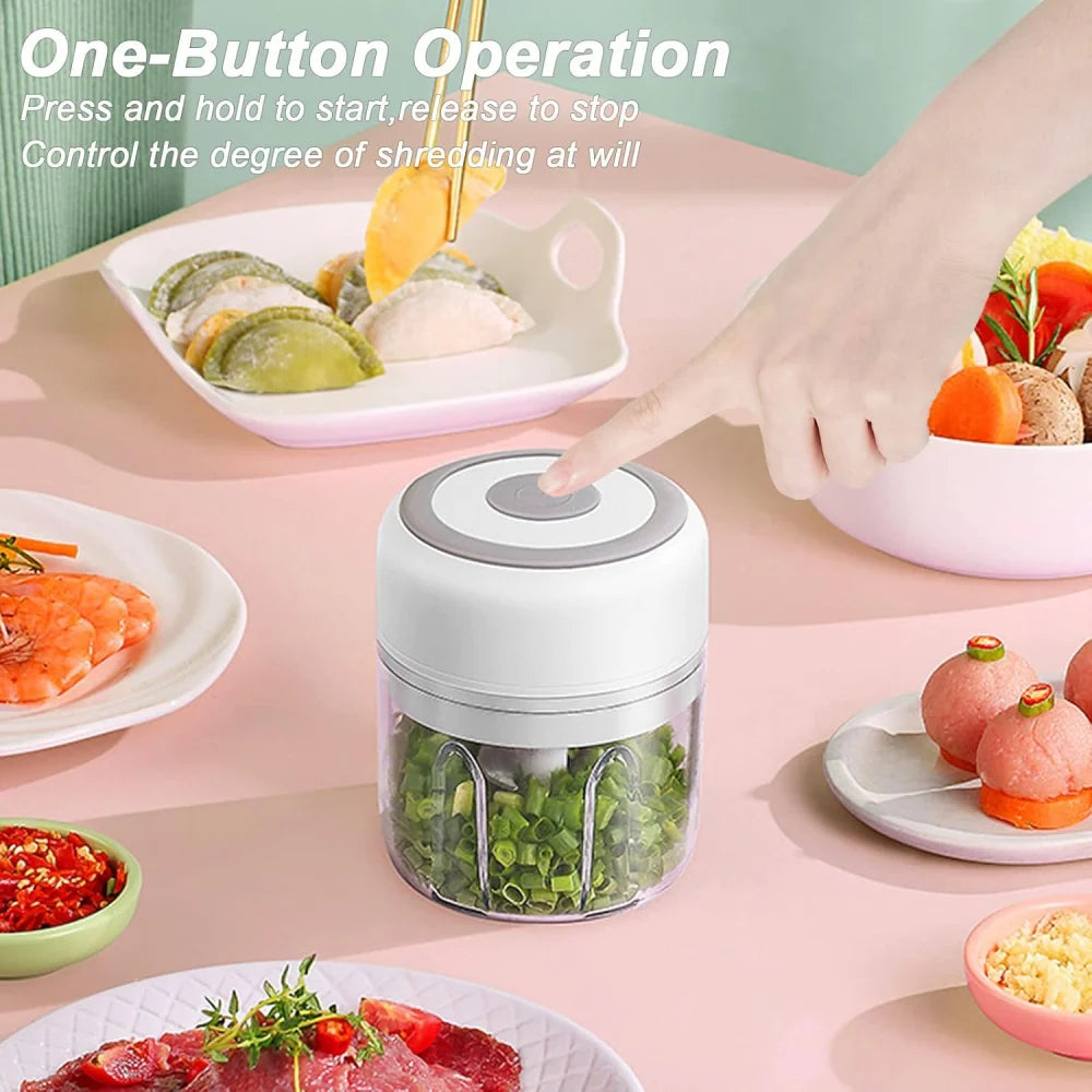 Mini food processor